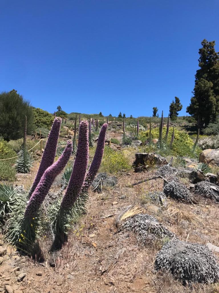 Finca Caboquitos Garafía Eksteriør billede