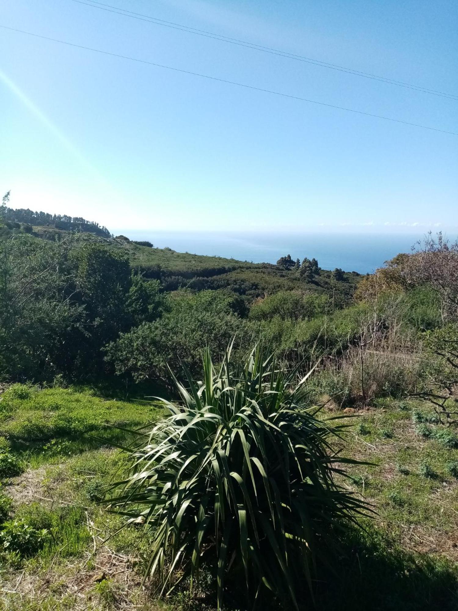 Finca Caboquitos Garafía Eksteriør billede